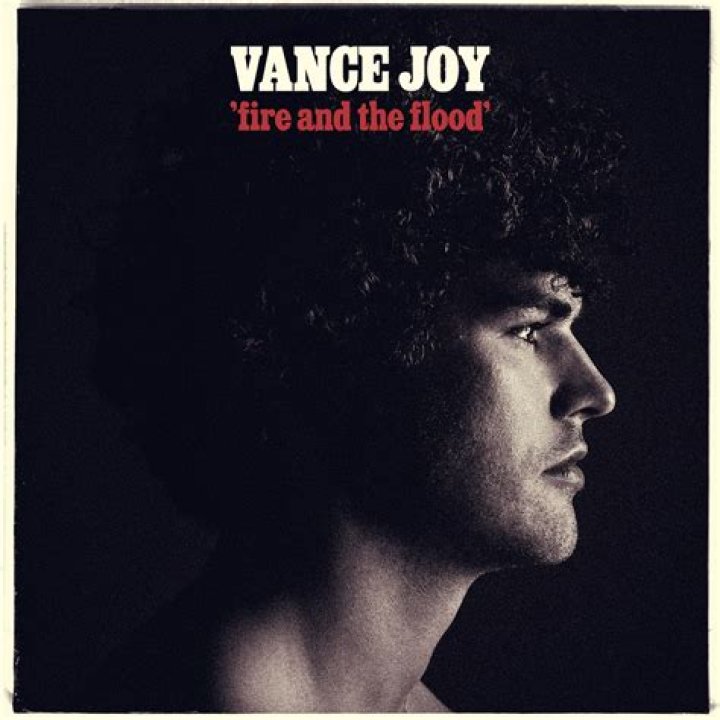 The Meaning Behind The Song: Fire and the Flood by Vance Joy