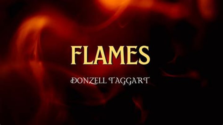The Meaning Behind The Song: Flames by Donzell Taggart