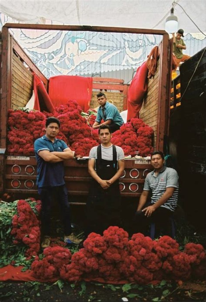 The Meaning Behind The Song: Flechazo by Fauces