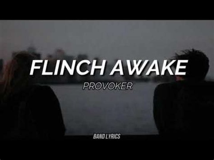 The Meaning Behind The Song: Flinch Awake by Provoker