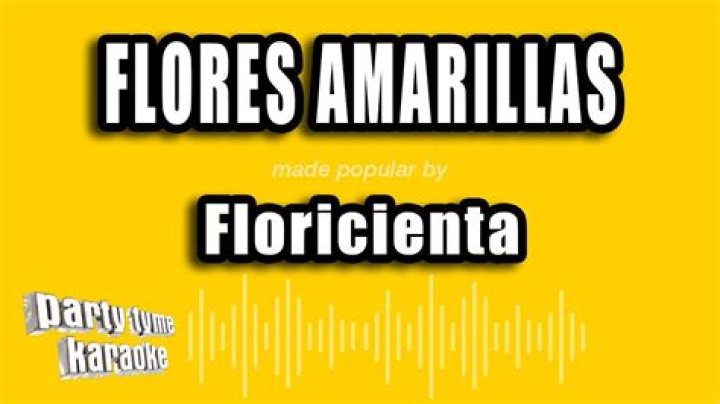 The Meaning Behind The Song: Flores Amarillas by Floricienta