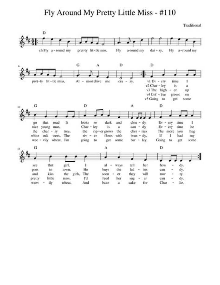 The Meaning Behind The Song: Fly Around My Pretty Little Miss by Built to Spill