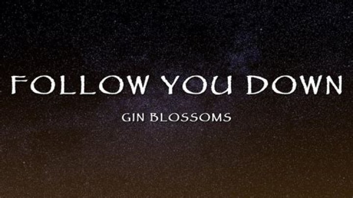 The Meaning Behind The Song: Follow You Down by Gin Blossoms