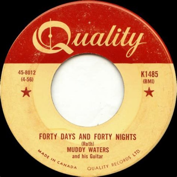 The Meaning Behind The Song: Forty Days and Forty Nights by Muddy Waters