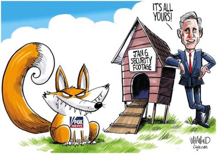 The Meaning Behind The Song: Fox in a Hen House by Rachel Brooke