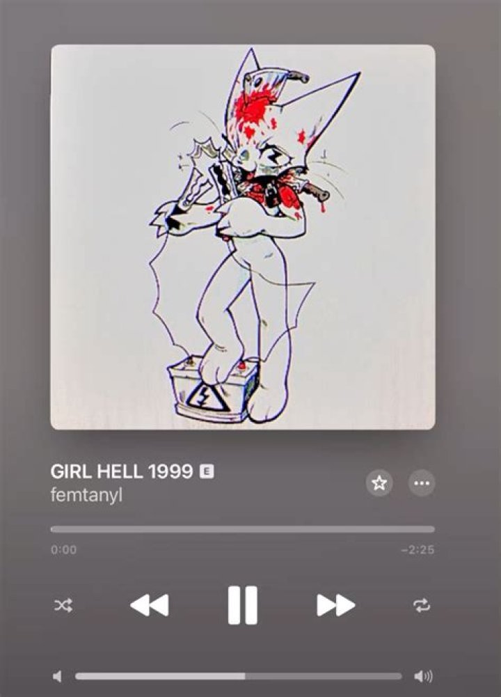 The Meaning Behind The Song: GIRL HELL 1999 by Femtanyl