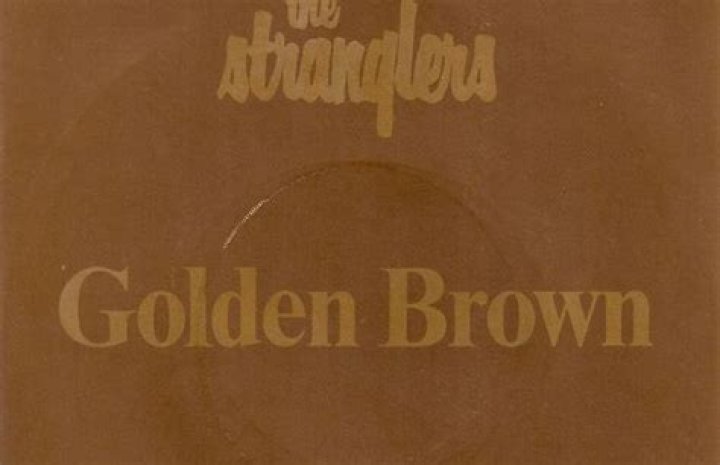 The Meaning Behind The Song: Golden Brown (Live) by The Stranglers