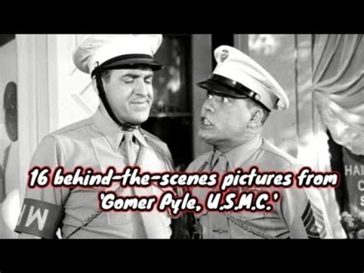 The Meaning Behind The Song: Gomer Pyle by Total Chaos