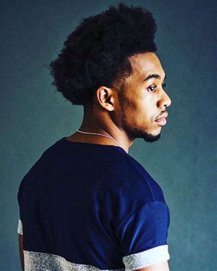 The Meaning Behind The Song: Gone Astray by Cellus Hamilton