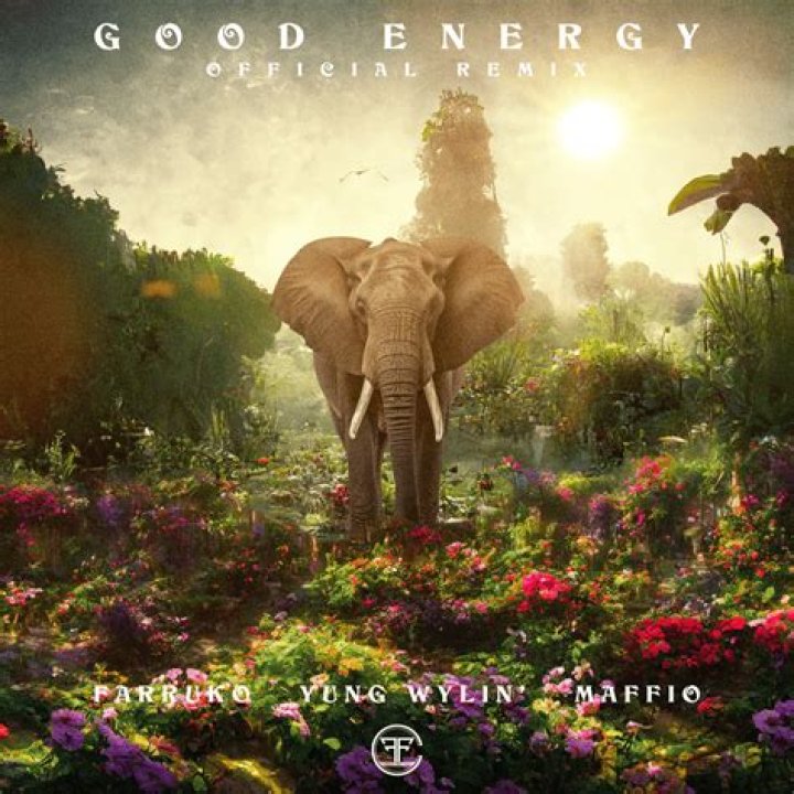 The Meaning Behind The Song: Good Energy (Remix) by Farruko, Yung Wylin’ & Maffio