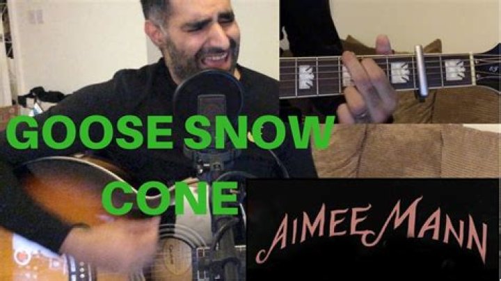 The Meaning Behind The Song: Goose Snow Cone by Aimee Mann