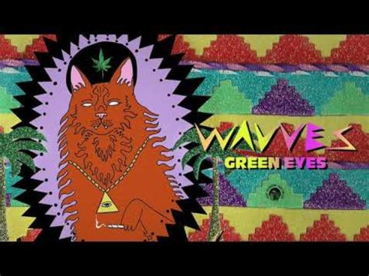 The Meaning Behind The Song: Green Eyes by Wavves