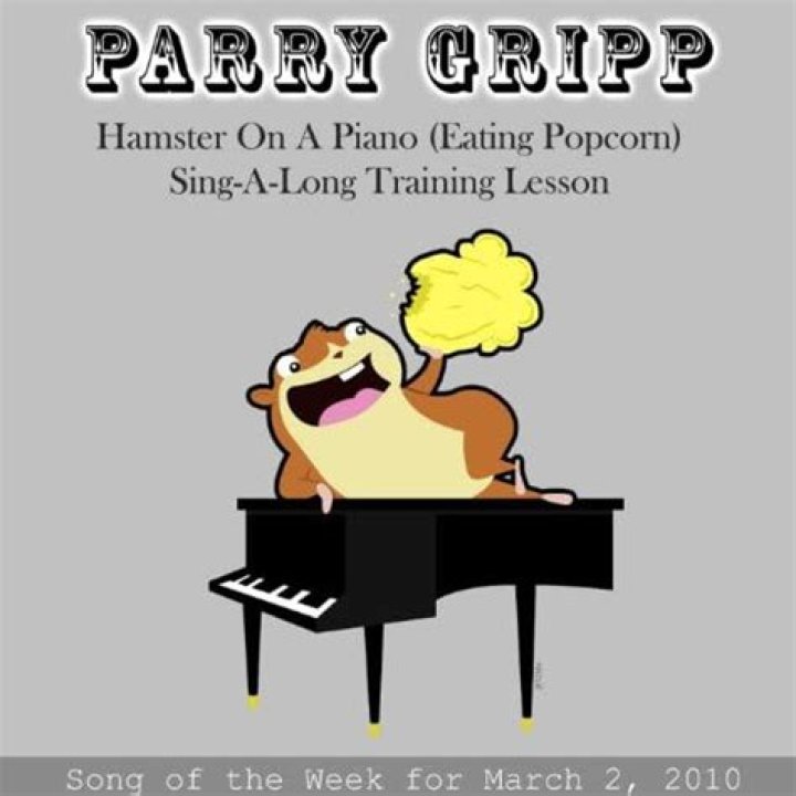 The Meaning Behind The Song: Hamster on a Piano (Eating Popcorn) by Parry Gripp