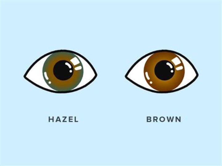The Meaning Behind The Song: Hazel Brown Eyes (feat. Tasia Anderson) by Camus Nim