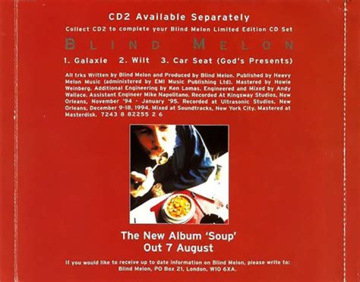 The Meaning Behind The Song: Hello, Goodbye/Galaxie by Blind Melon