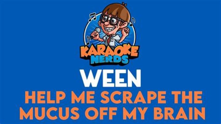 The Meaning Behind The Song: Help Me Scrape the Mucus Off My Brain by Ween