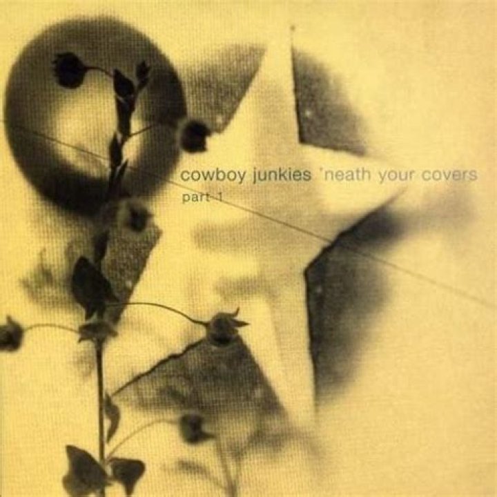 The Meaning Behind The Song: Helpless by Cowboy Junkies