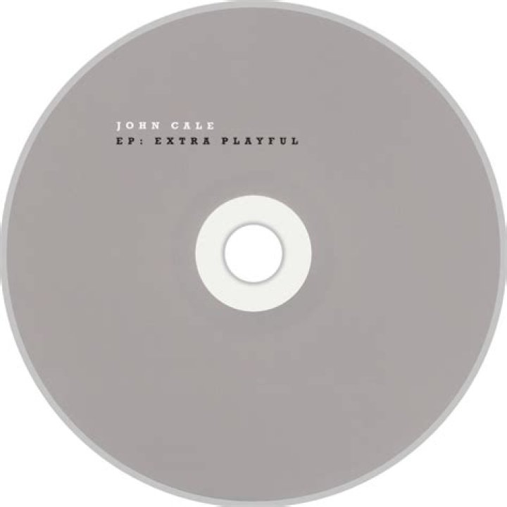 The Meaning Behind The Song: Hey Ray – commentary by John Cale