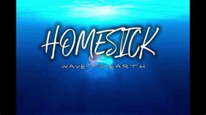 The Meaning Behind The Song: ​​homesick by ​wave to earth