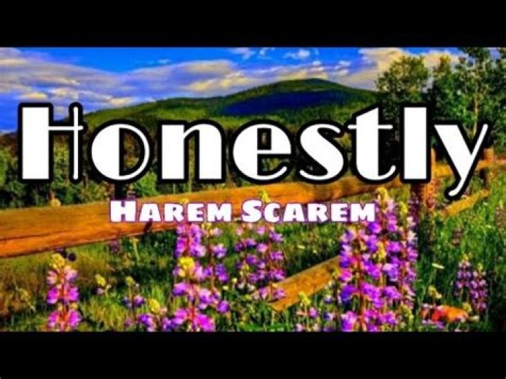 The Meaning Behind The Song: Honestly by Harem Scarem