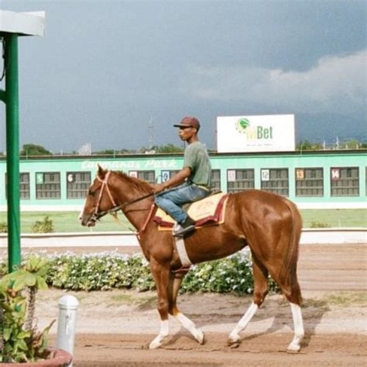 The Meaning Behind The Song: Horsepower by Daniel Caesar