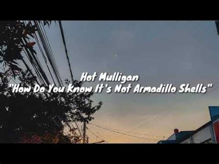The Meaning Behind The Song: How Do You Know It’s Not Armadillo Shells? by Hot Mulligan
