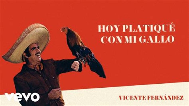 The Meaning Behind The Song: Hoy Platiqué Con Mi Gallo by Vicente Fernández