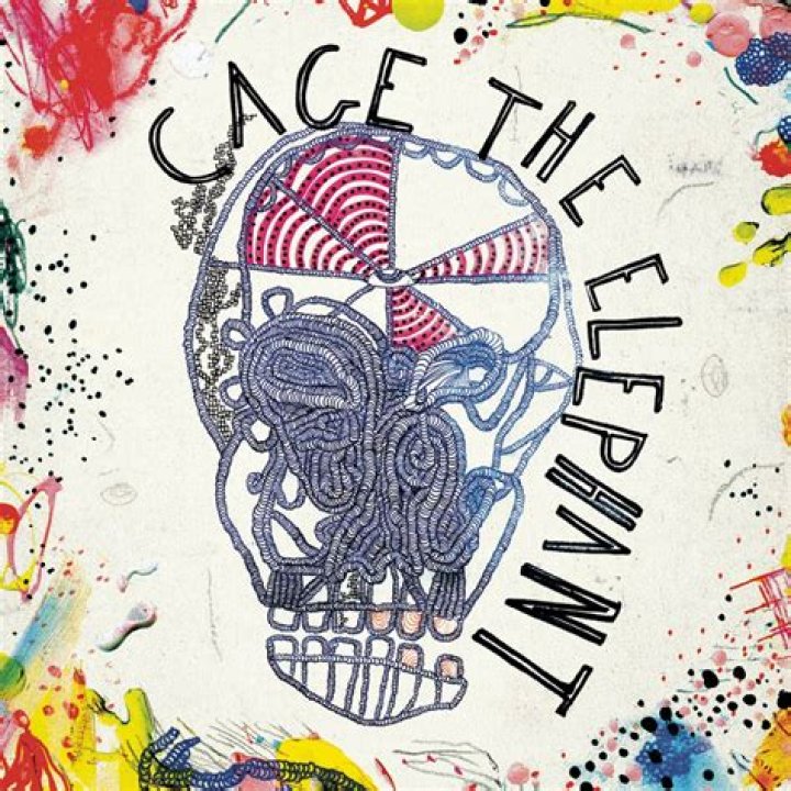 The Meaning Behind The Song: Hypocrite by Cage The Elephant