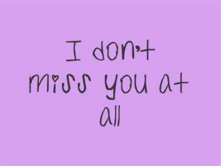 The Meaning Behind The Song: I Don’t Miss You At All by Selena Gomez & The Scene