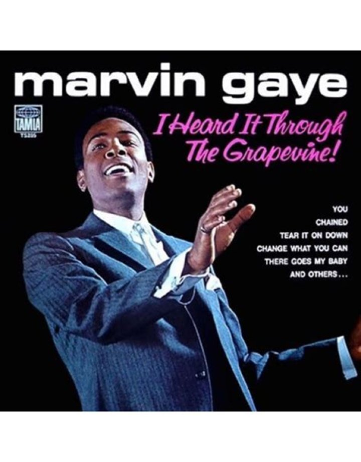 The Meaning Behind The Song: I Heard It Through the Grape Vine by Marvin Gaye