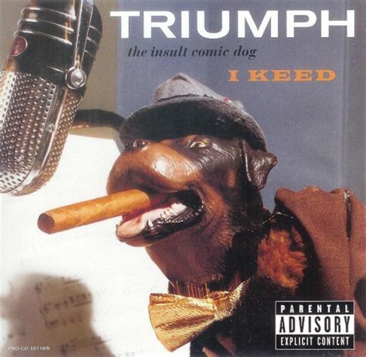 The Meaning Behind The Song: I Keed by Triumph the Insult Comic Dog