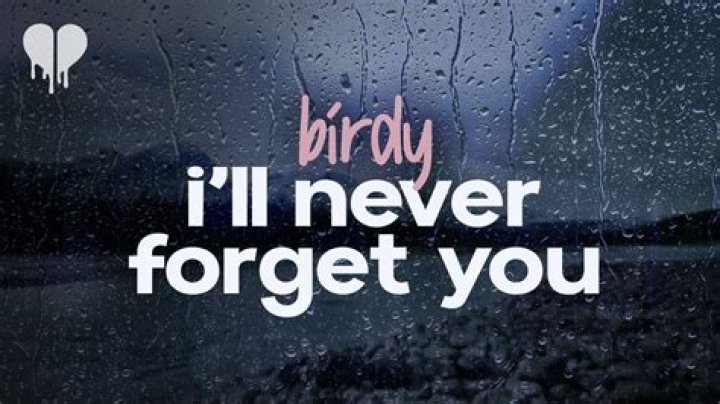 The Meaning Behind The Song: I’ll Never Forget You by Birdy