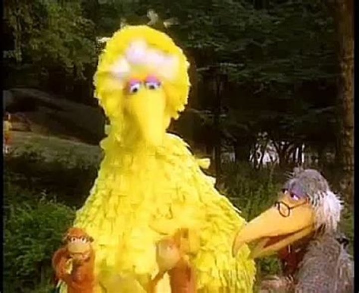 The Meaning Behind The Song: I’m an Aardvark by Sesame Street