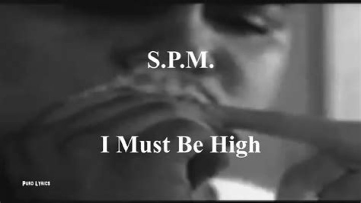 The Meaning Behind The Song: I Must Be High by S.P.M.