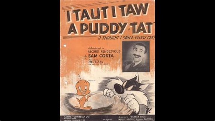 The Meaning Behind The Song: I Taut I Taw a Puddy-Tat (I Thought I Saw a Pussy-Cat) by Mel Blanc