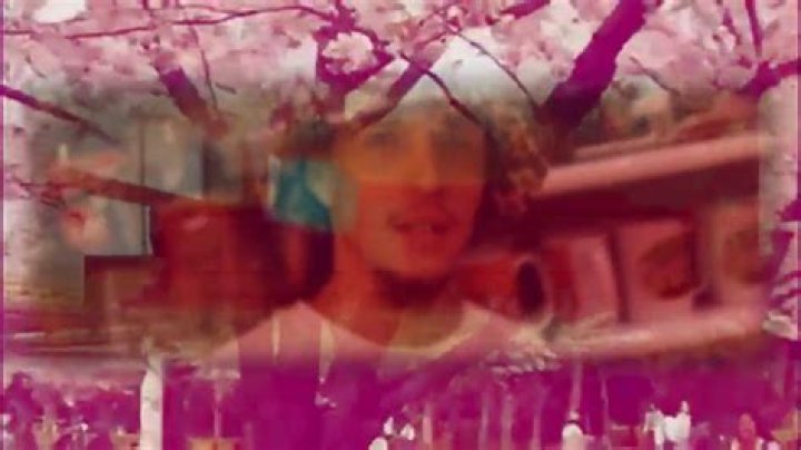 The Meaning Behind The Song: I THINK IM K00L NAST *2002* by Lil Tracy