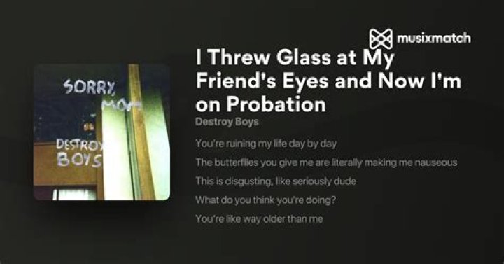 The Meaning Behind The Song: I Threw Glass At My Friend’s Eyes And Now I’m On Probation by Destroy Boys