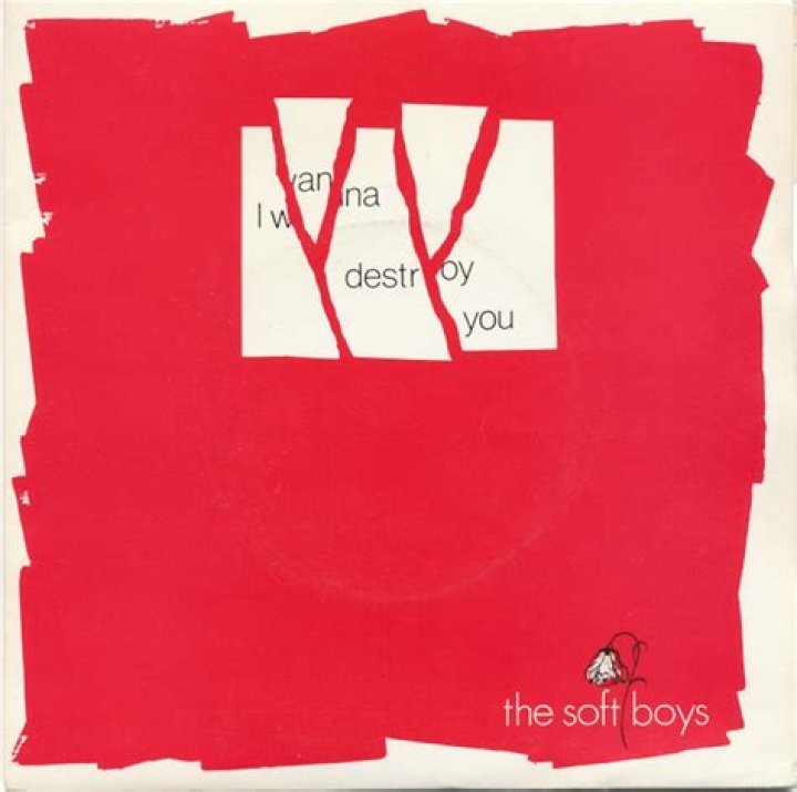 The Meaning Behind The Song: I Wanna Destroy You by The Soft Boys