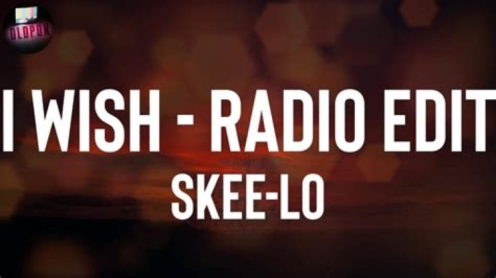 The Meaning Behind The Song: I Wish by Skee-Lo