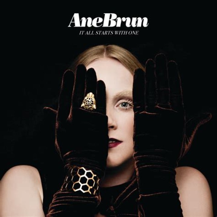 The Meaning Behind The Song: I Would Hurt a Fly by Ane Brun