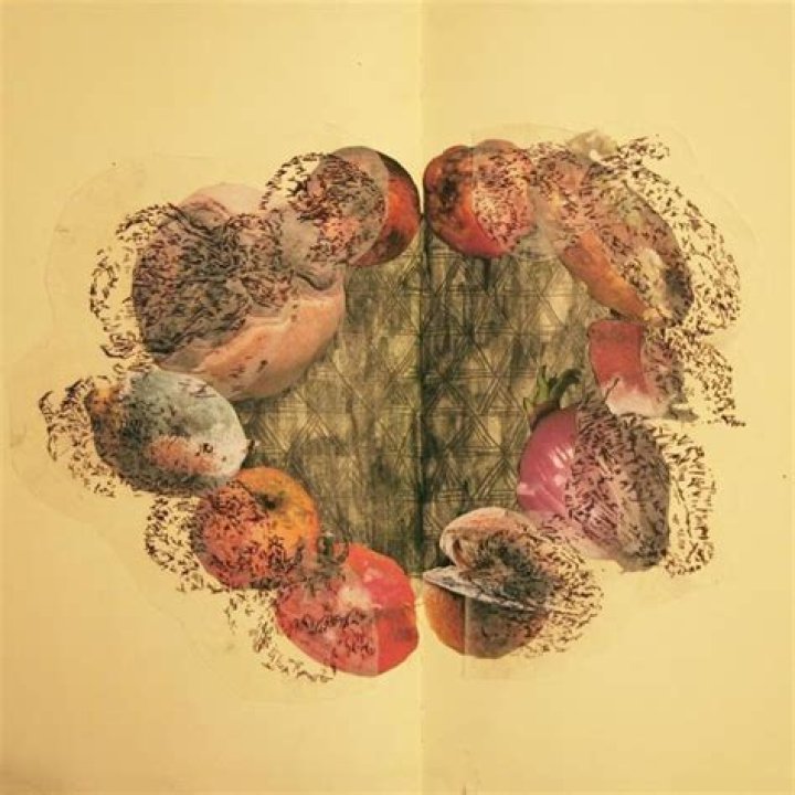 The Meaning Behind The Song: Idiot Street by Rebecca Peake