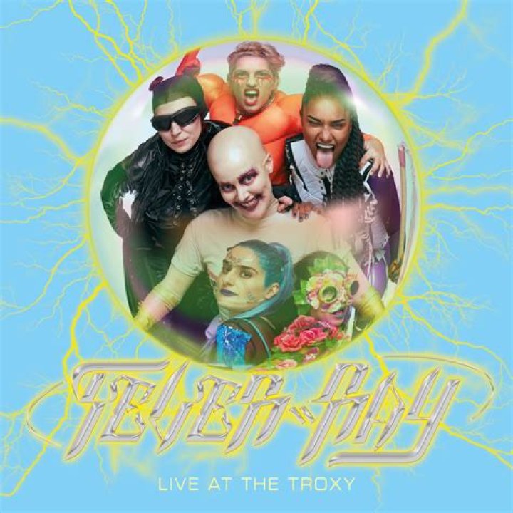 The Meaning Behind The Song: If I Had A Heart (Live At Troxy) by Fever Ray