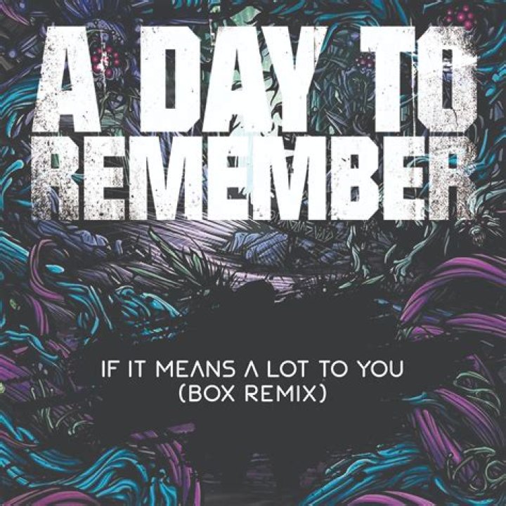 The Meaning Behind The Song: If It Means a Lot to You by A Day to Remember
