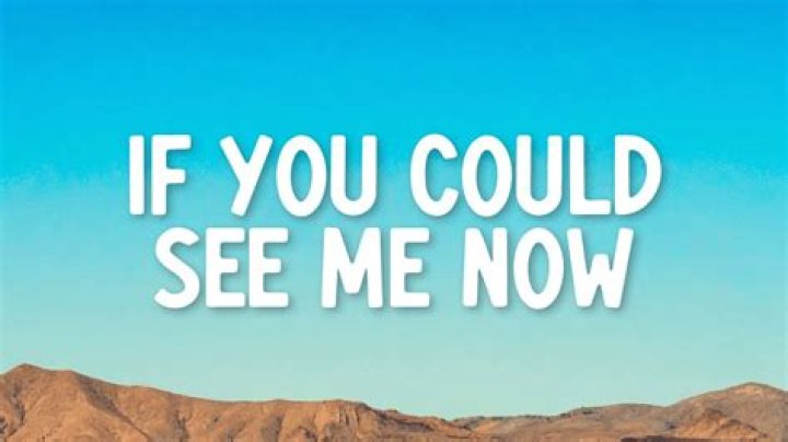 The Meaning Behind The Song: If You Could See Me Now by The Script