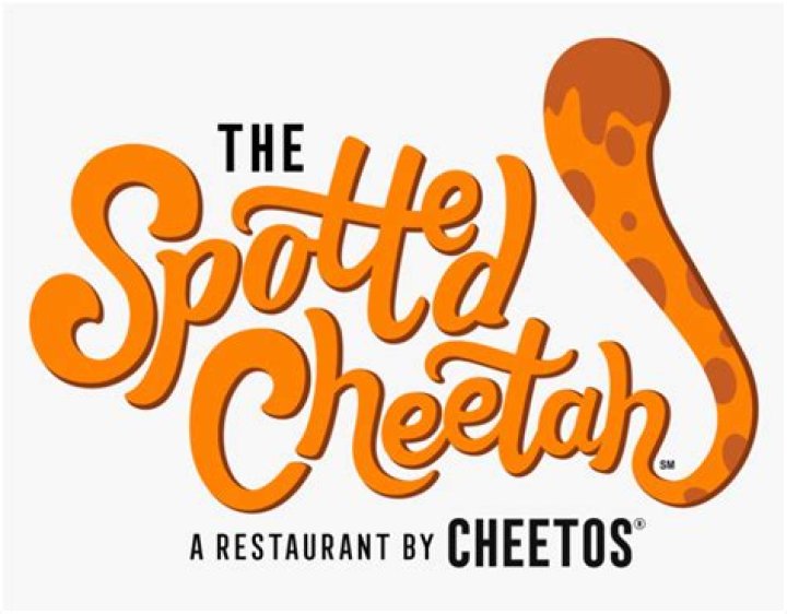 The Meaning Behind The Song: If You Wanna (EP) by The Vaccines