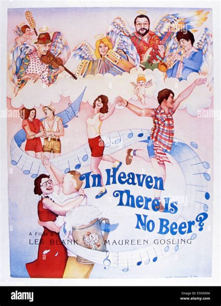 The Meaning Behind The Song: In Heaven There Is No Beer by Brave Combo