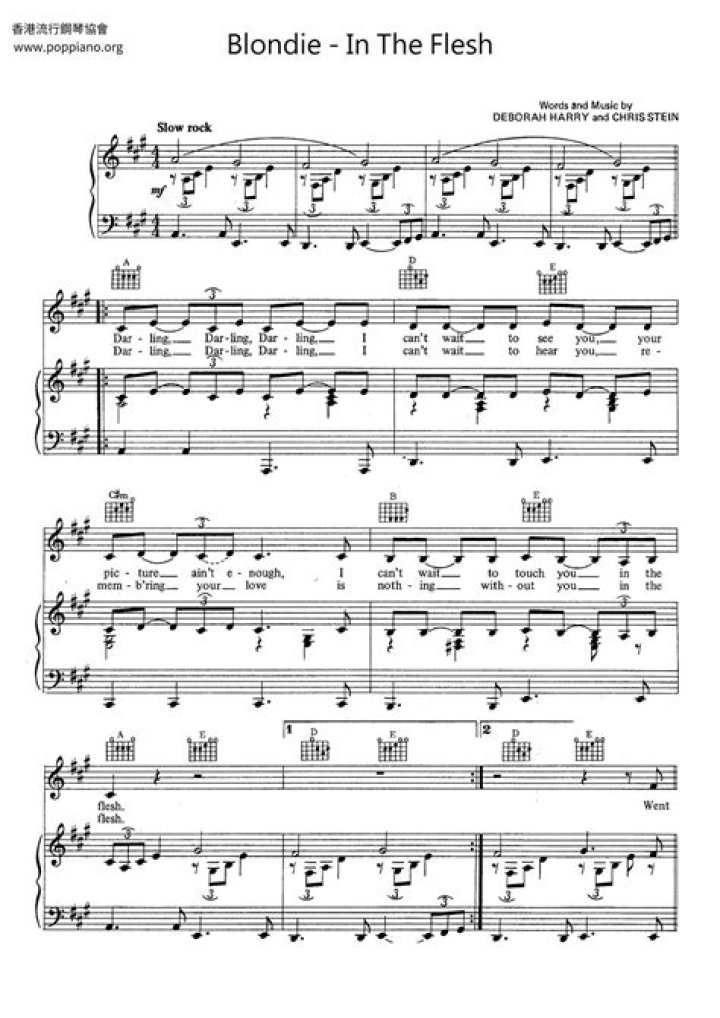 The Meaning Behind The Song: In the Flesh by Blondie