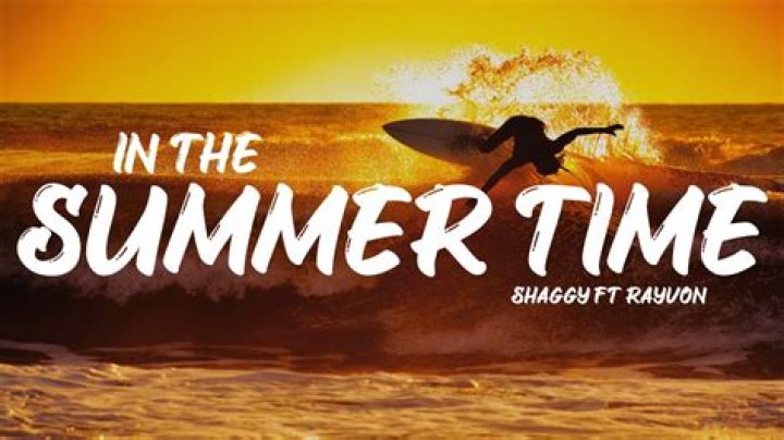 The Meaning Behind The Song: In the Summertime by Shaggy