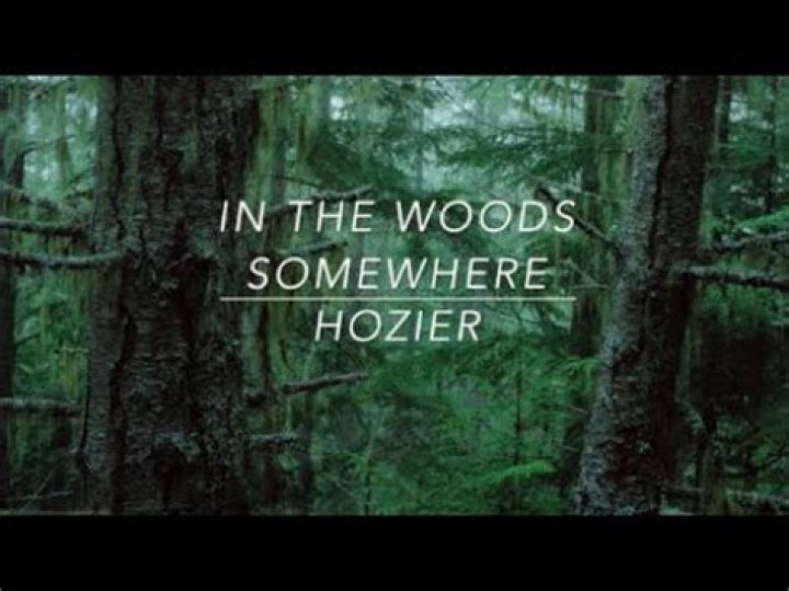The Meaning Behind The Song: In The Woods Somewhere by Hozier