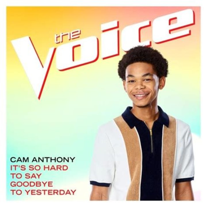 The Meaning Behind The Song: It’s So Hard to Say Goodbye to Yesterday by Cam Anthony